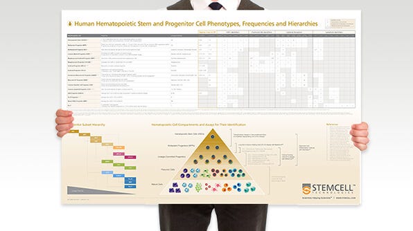 Download this wallchart for a handy overview of the subset hierarchy, including their frequencies and phenotypes.