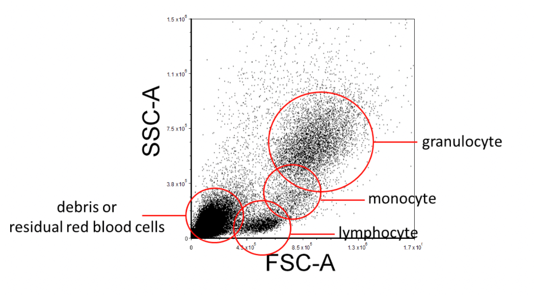 facs analysis