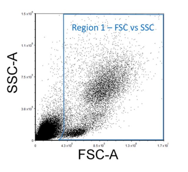 Considerations for Flow Cytometry Gating | FACS Analysis | STEMCELL ...