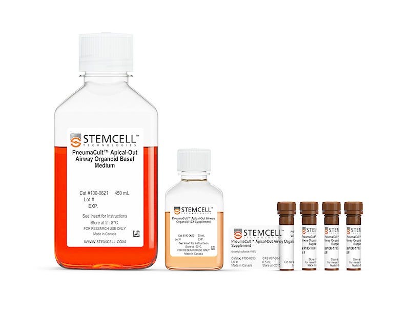 PneumaCult™ Apical-Out Airway Organoid Secretory Medium for the differentiation of apical-out airway organoids with secretory cells.