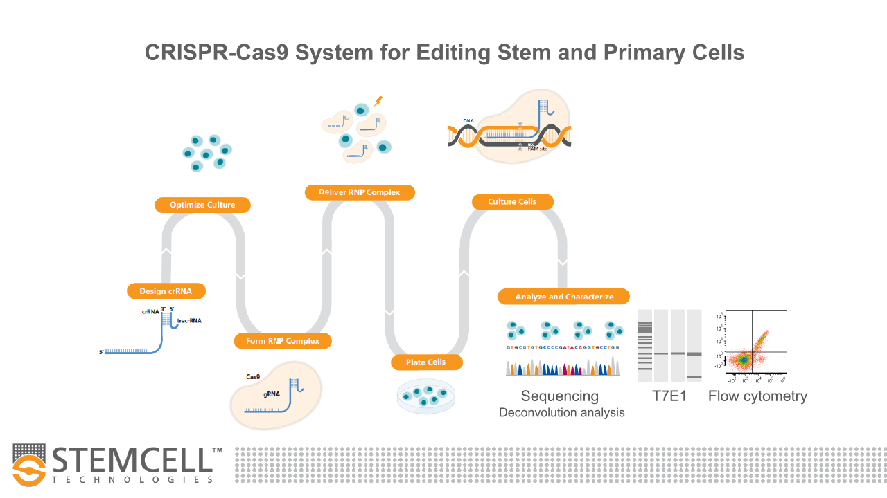 Malaysia genome modification CRISPR