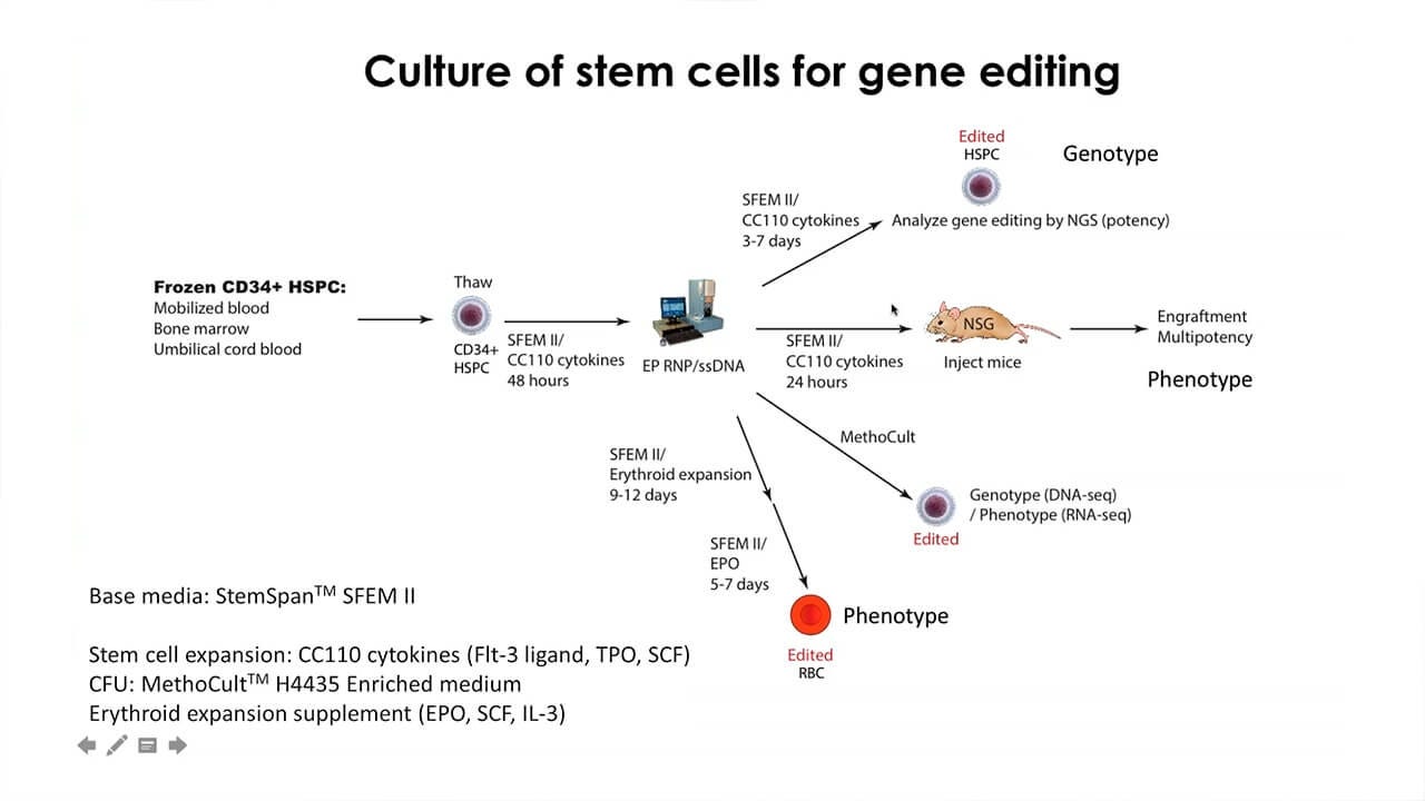 https://cdn.stemcell.com/media/catalog/product/w/e/we00073-crispr-cas9_thumbnail_v2.jpg