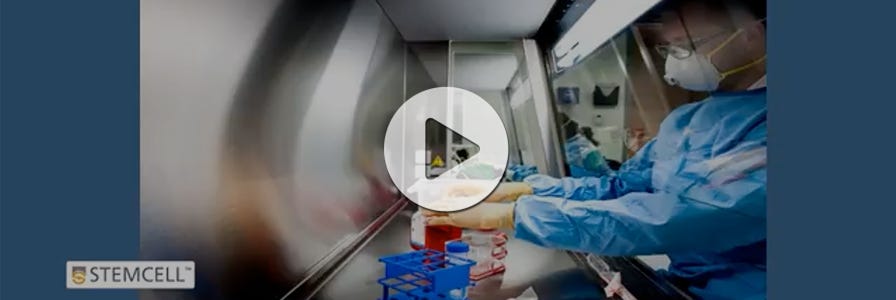 A scientist working in a biosafety cabinet.