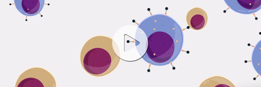 How Does EasySep™ Cell Separation Work?