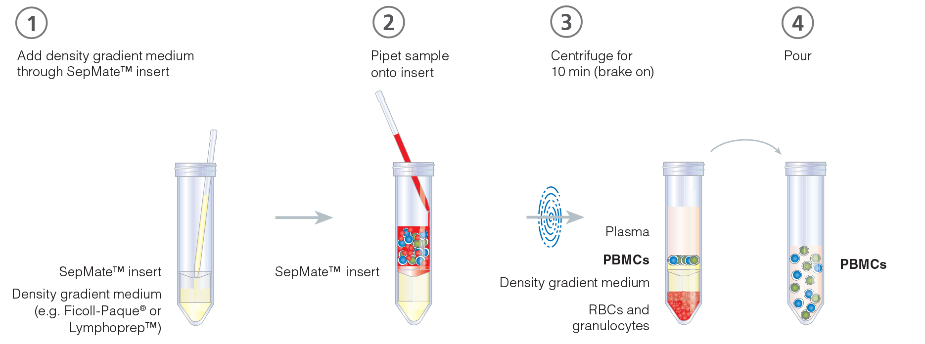 SepMate™ PBMC Isolation Tubes