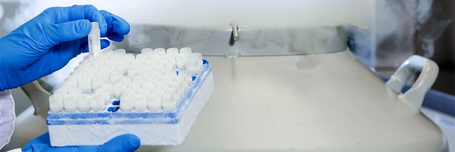 Cryopreservation of cells