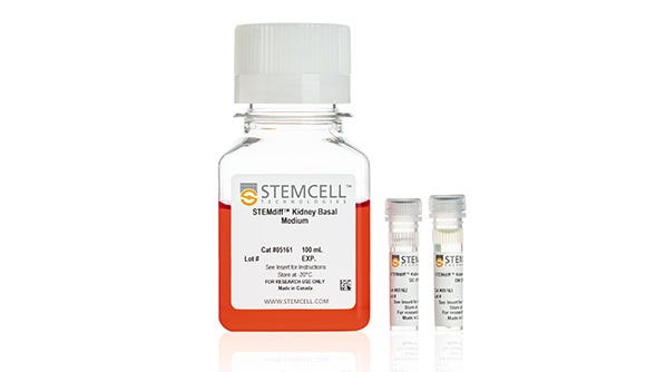 STEMdiff™ Kidney Organoid Kit