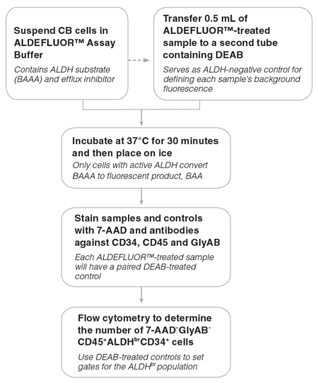 General ALDHbr Assay Procedure