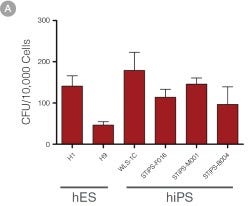 hPSC-Derived HPCs Produce Colonies of Multiple Lineages