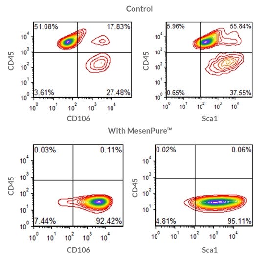 Procedure Summary for Hematopoietic CFU Assays