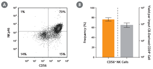 Frequency and yield of CD56- and NKp46-expressing cells produced after culture of CD34+ HSPCs with the StemSpan™ NK Cell Generation Kit