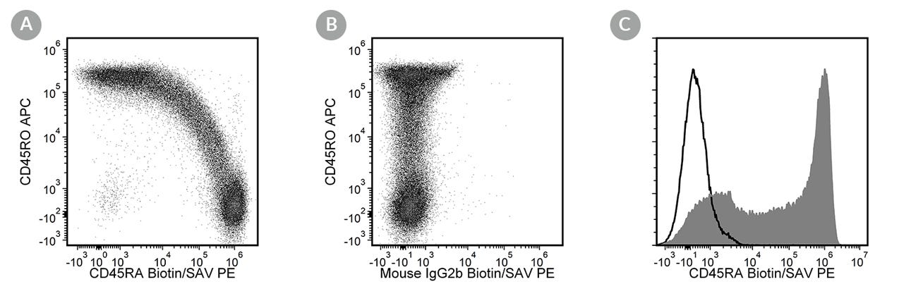 Figures showing flow cytometry analysis of (A) human peripheral blood mononuclear cells (PBMCs) labeled with Anti-Human CD45RA Antibody, Clone HI100, Biotin, followed by streptavidin (SAV) PE, and anti-human CD45RO antibody, clone UCHL1, APC,(B) human PBMCs labeled with a mouse IgG2b, kappa Biotin isotype control antibody followed by SAV PE, and anti-human CD45RO antibody, clone UCHL1, APC, and (C) human PBMCs labeled with Anti-Human CD45RA Antibody, Clone HI100, Biotin, followed by SAV PE or a mouse IgG2b, kappa Biotin isotype control antibody, followed by SAV PE.