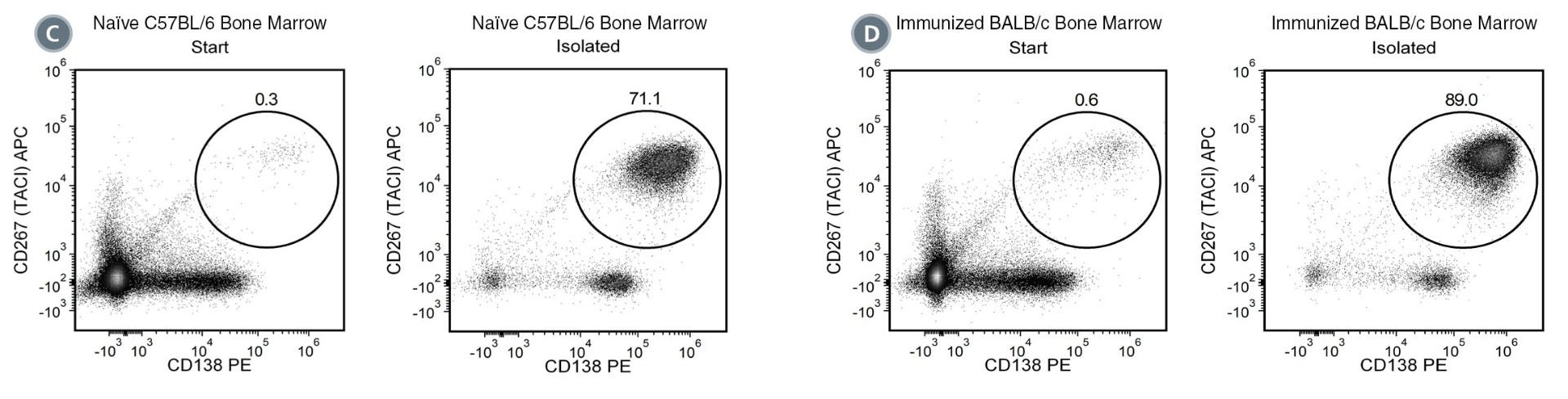 Using the EasySep™ Release Mouse CD138 Positive Selection Kit on a single-cell suspension of mouse bone marrow, the CD138+ purities of the start and final isolated fractions are 0.3% and 71.7% in naïve, and 0.6% and 89.0% in immunized mice, respectively.