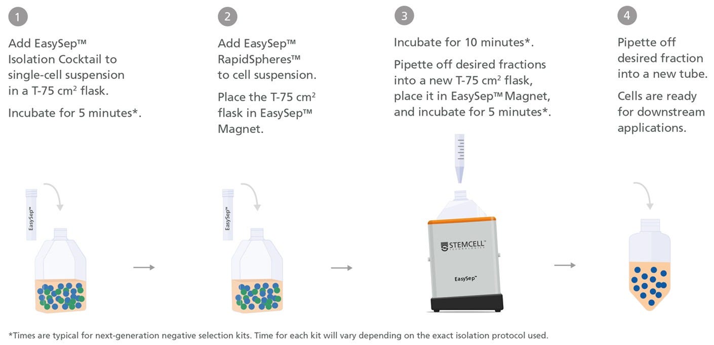 Typical Easy 250 EasySep™ Magnet Cell Isolation Protocol (Negative Selection)
