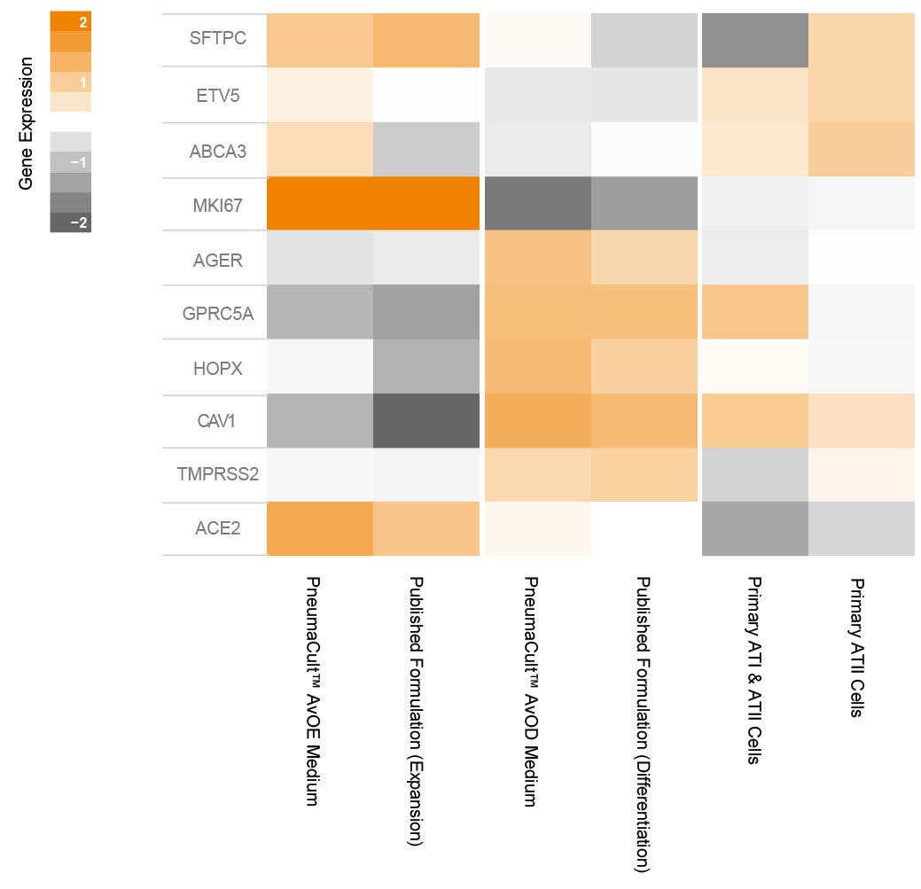 Heatmap comparing gene expression in alveolar organoids cultured in PneumaCult™ and published formulation.