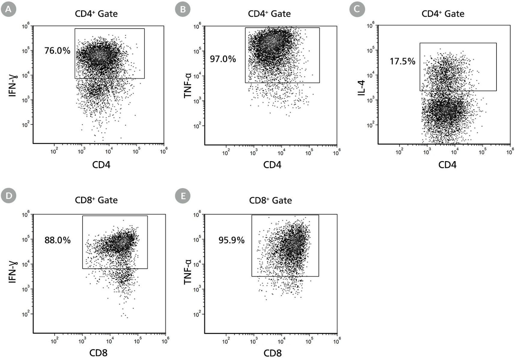 Expansion of T Cells Cultured with Immunocult™-XF Were Analyzed for Intracellular Cytokines such as IFN-Ɣ, TNF-α, and IL-4