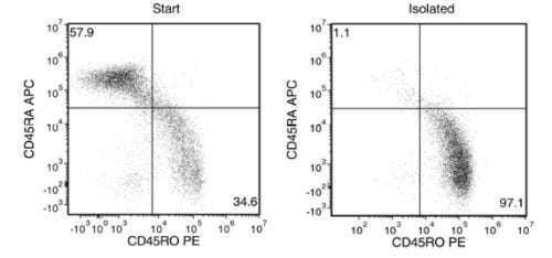 Typical EasySep™ Release Mouse Biotin Positive Selection Kit Cell Isolation Profile from PBMCs