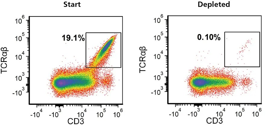 Residual TCRαβ+ Cells Can Be Removed from Expanded TRAC Knockout Cell Populations Using EasySep™ Human TCRαβ Depletion Kit