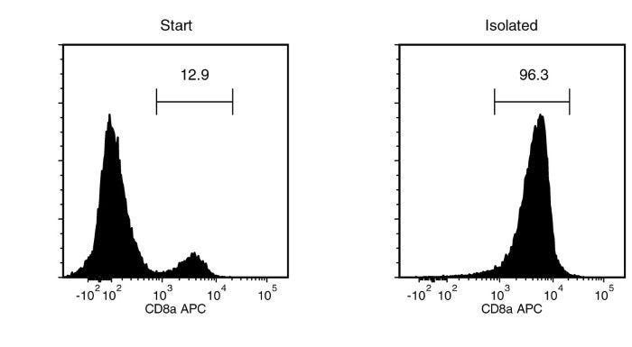 Typical EasySep™ Human CD8 Positive Selection Profile