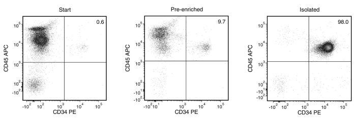 Typical EasySep™ Human Cord Blood CD34 Positive Selection Profile
