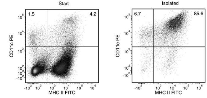 Typical EasySep™ CD11c Positive Cell Isolation Profile