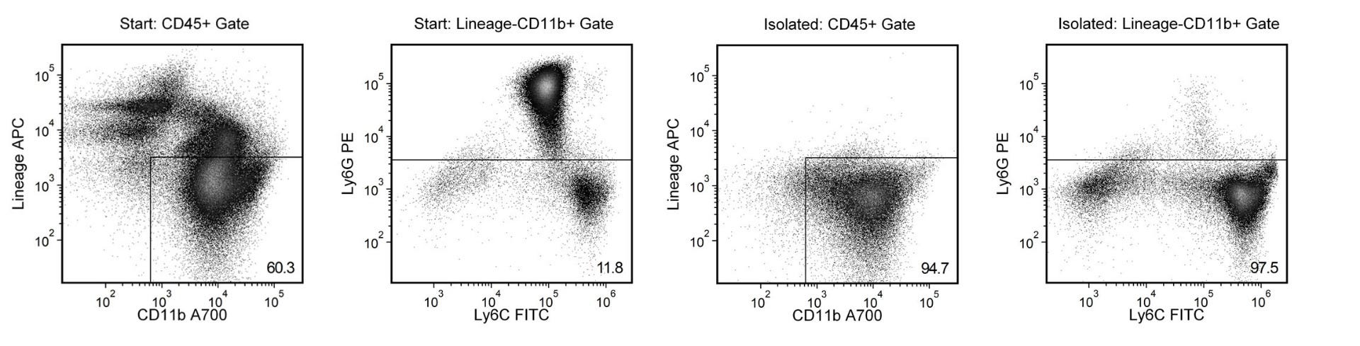 Typical EasySep™ Mouse Monocyte Isolation Profile