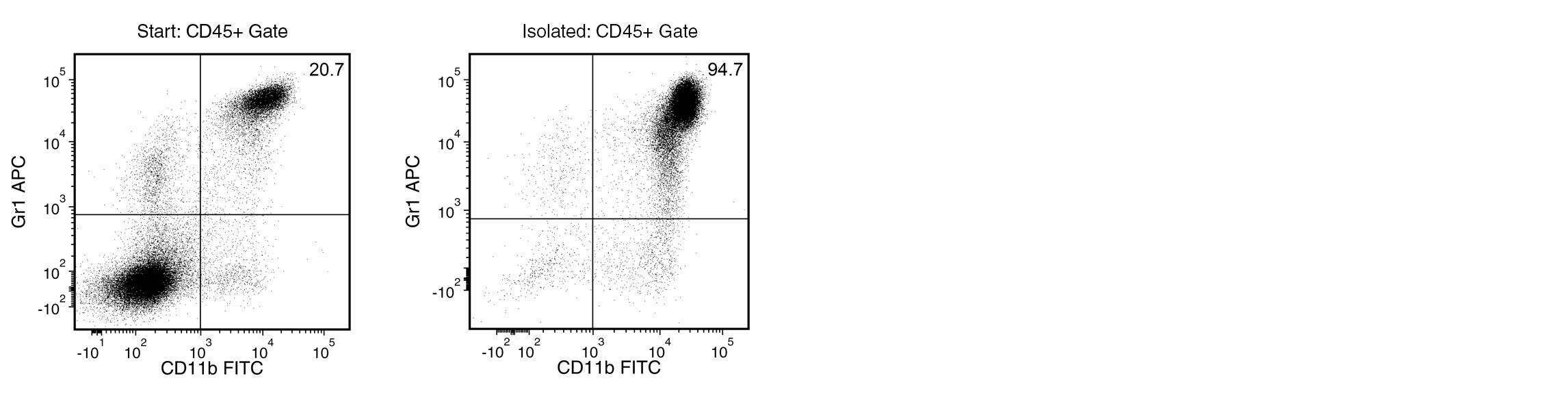 Typical EasySep™ Mouse MDSC (CD11b+Gr1+) Cell Isolation Profile from 4T1 Tumor-Bearing BALB/c Mouse Splenocytes