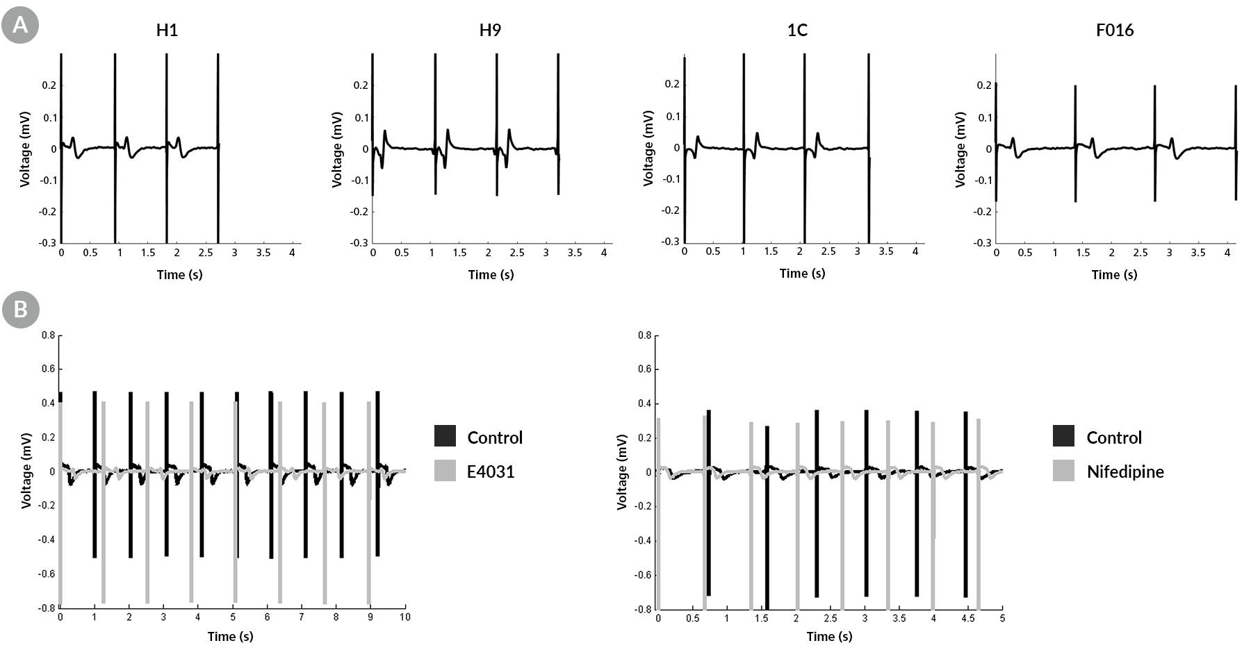 The Maestro MEA™ system enables functional evaluation of hPSC-derived cardiomyocytes and assessment of electrophysiological responses to pharmacological stimuli.