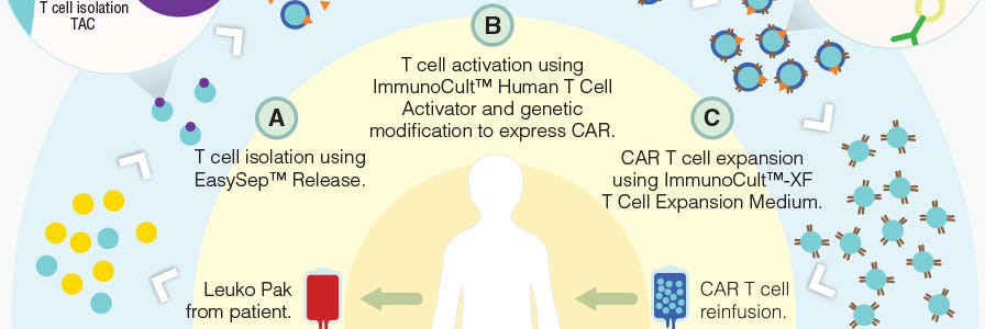 CAR T Cell Manufacturing Workflow