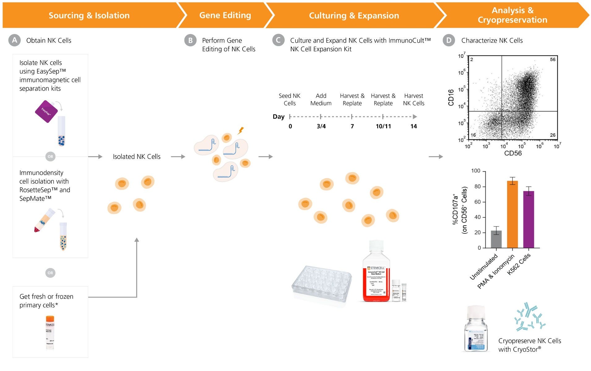 NK cell sourcing, isolation, gene editing, expansion, and analysis
