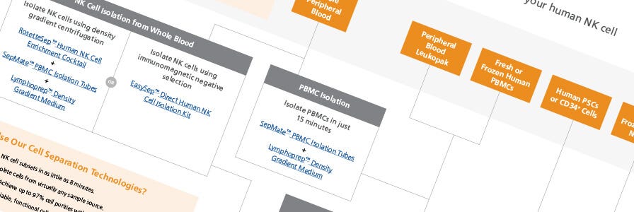 Find the Right NK Cell Isolation and Culture Product