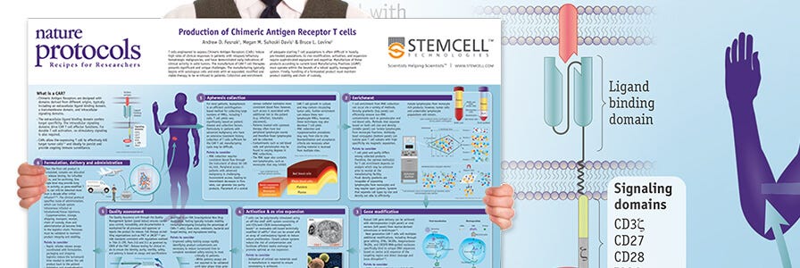 Production of CAR T Cells Wallchart from Nature Protocols