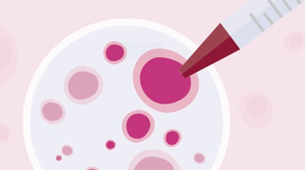 Resources to support your pulmonary research and the growth of human airway cells