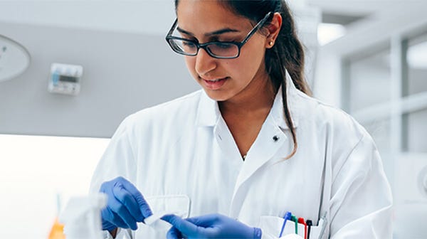 In-house hematopoietic expert working in the lab