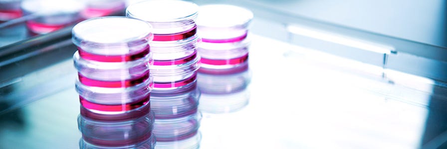 Get cells customized to fit your research specifications and needs.