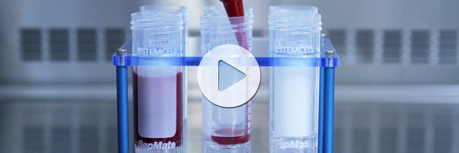 Isolate PBMCs in Just 15 Minutes with SepMate™