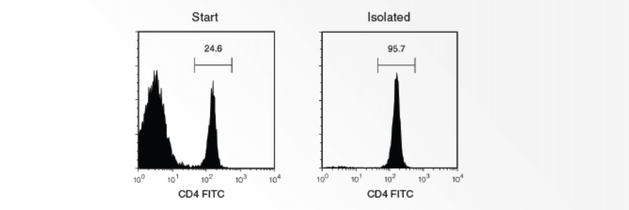 Isolation of CD4+ T cells