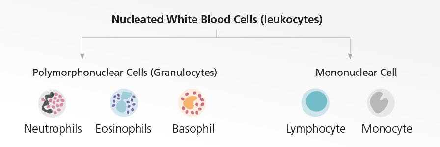 Isolate Cells From Blood