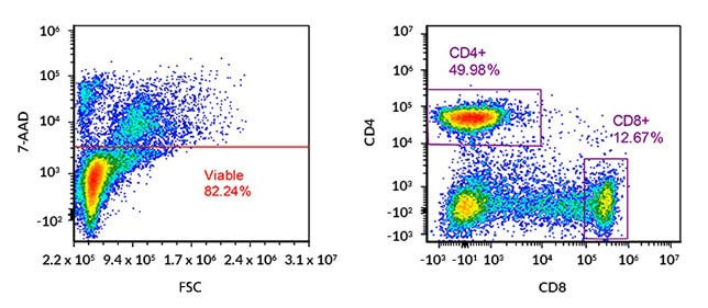 Immunophenotyping by flow cytometric marker analysis: multicolour FACS dot plots of human peripheral blood mononuclear cells