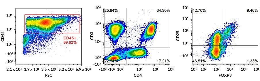 Immunophenotyping by flow cytometric marker analysis: multicolour FACS dot plots of human regulatory T cells