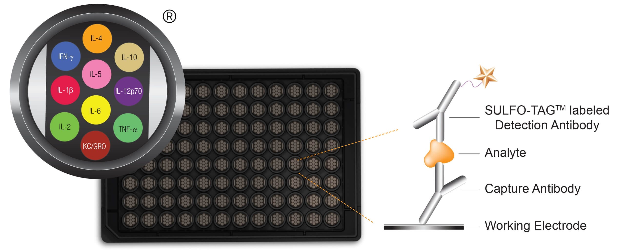 meso scale diagnostics