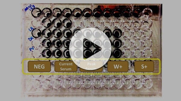 A 96-well round-bottom tray used for the crossmatch assay with a play icon overlayed on the image.
