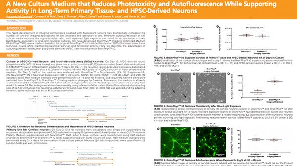 See Poster: Culture of High-Quality Human Pluripotent Stem Cells with Versatile Workflows Using mTeSR™ Plus