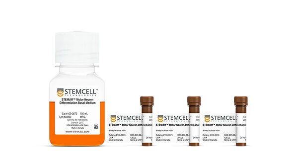 STEMdiff™ Motor Neuron Differentiation Kit