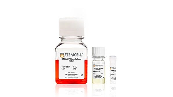 STEMdiff™ Motor Neuron Differentiation Kit