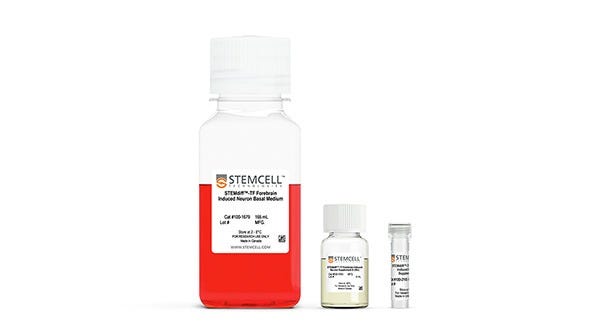 BrainPhys™ hPSC Neuron Kit