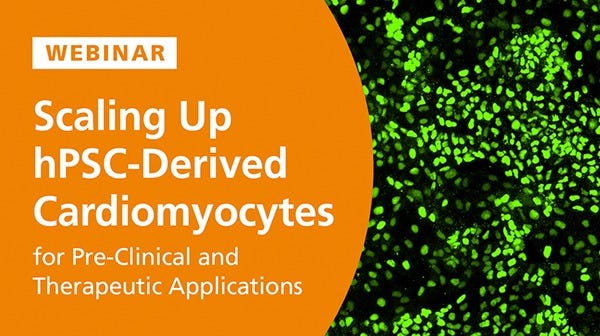 Webinar: Scaling-Up hPSC-Derived Cardiomyocytes for Preclinical and Therapeutic Applications