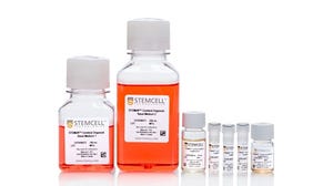 STEMdiff™ Cerebral Organoid Kit